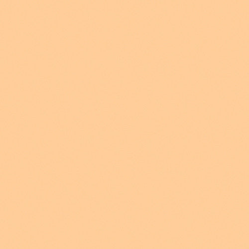 LEE CTS Color Temperature Straw Gel Rolls (Multiple Varieties)