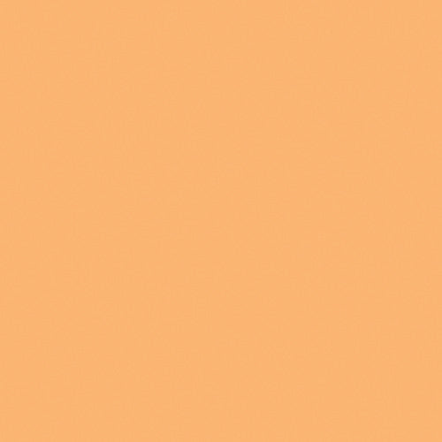 LEE CTO Color Temperature Orange Gel Rolls (Multiple Varieties)