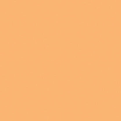 LEE CTO Color Temperature Orange Gel Rolls (Multiple Varieties)